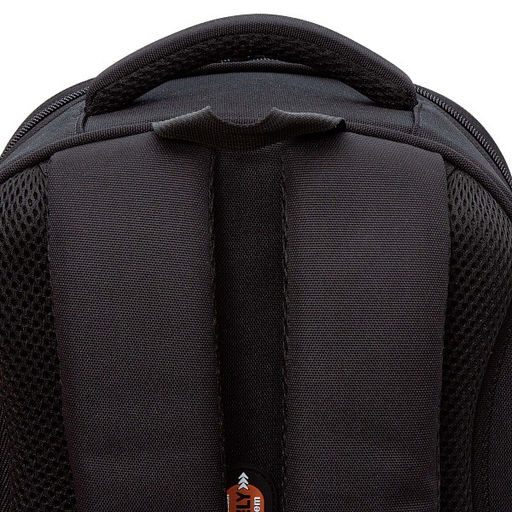 RAz-587-6 Рюкзак школьный - Grizzly фото 36