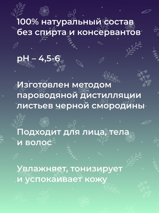 Гидролат чёрной смородины - Siberina фото 7