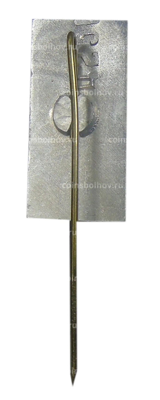 Значок Гиссар