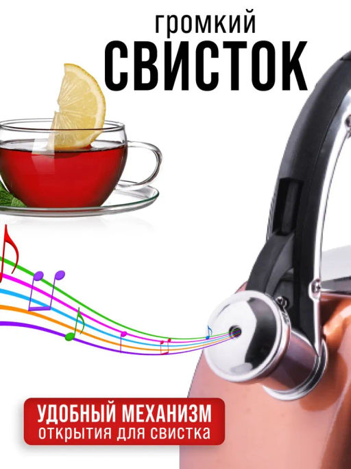 28970 Чайник 3 л нерж/сталь со свистком MB (х12) - Mayer&boch фото 10