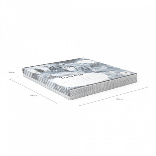 Цена за 10 шт. Тетрадь школьная ученическая ErichKrause Timber Wolf, 18 листов, линейка (в плёнке по 10 шт.)_MIX-PACK  фото 11