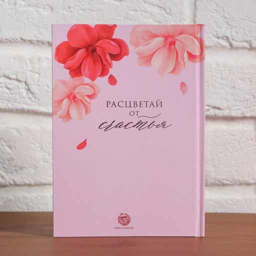 Набор Сияй ярче всех!, фартук и кулинарная книга - Beauty fox фото 6