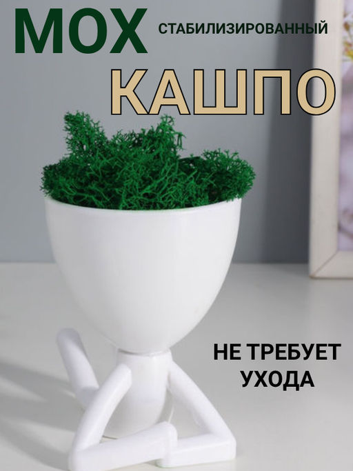Стабилизированный мох в кашпо пластиковом Мистер Грин на лайте, 9.7127.3 см, белый