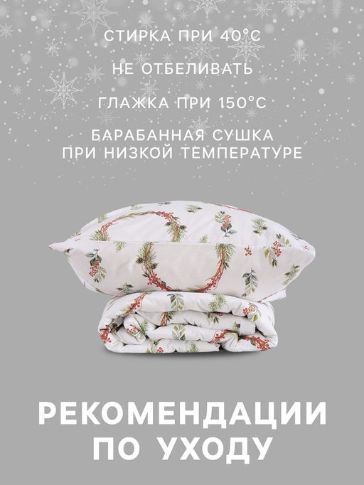 Постельное бельё 2-спальное Этель. Снегири (вид 2), поплин