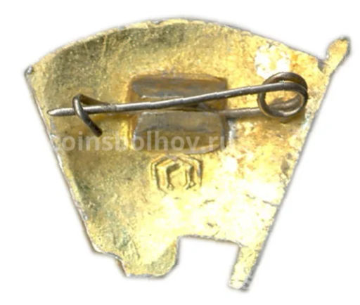 Значок ВЛКСМ