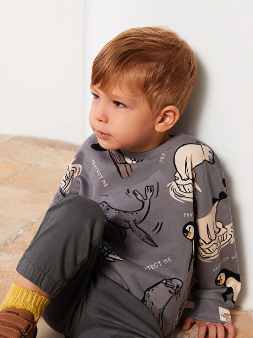 Bisiklet Yaka Uzun Kollu Bask?l? Erkek Bebek Sweatshirt - Waikiki фото 2