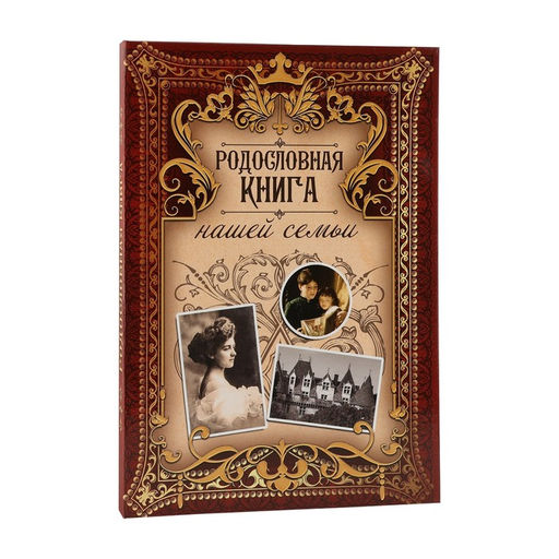 Родословная книга Родословная книга нашей семьи, дерево 22*31 см