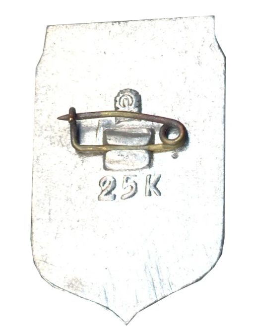 Значок Запорожье