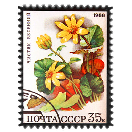 Магнит керамический 6х8см Почтовая марка Лютик (Китай)