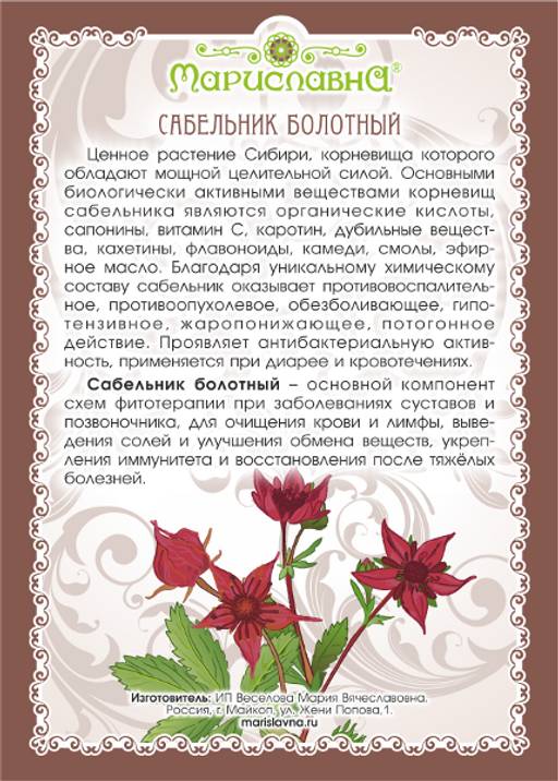 Сабельник болотный полезные свойства применение. Сабельник болотный полезные свойства применение. Сабельник болотный. Сабельник болотный корень. Сабельник болотный.