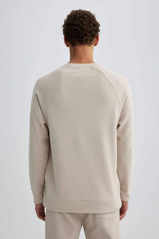 Толстовка стандартного кроя с круглым вырезом и вафельным узором - Defacto фото 7