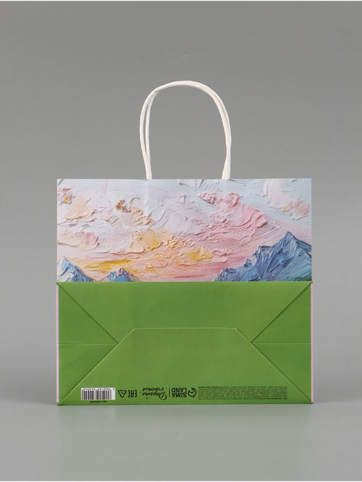 Цена за 2 шт. Пакет подарочный «Цветочное поле», 25 × 22 × 12 см