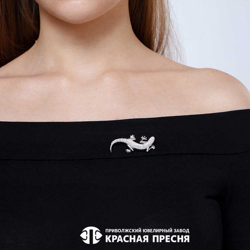 БРОШЬ 13615844Пл