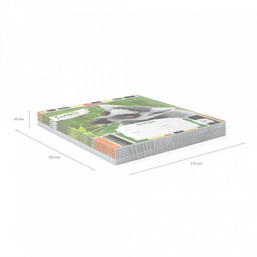 Цена за 200 шт. Тетрадь школьная ученическая ErichKrause Lemur Style, 18 листов, линейка (в плёнке по 10 шт.)  фото 11