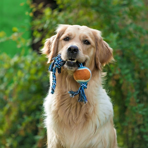 Игрушка тренировочная канатная с мячом, до 125 г, до 45 см, микс цветов - Пижон фото 8