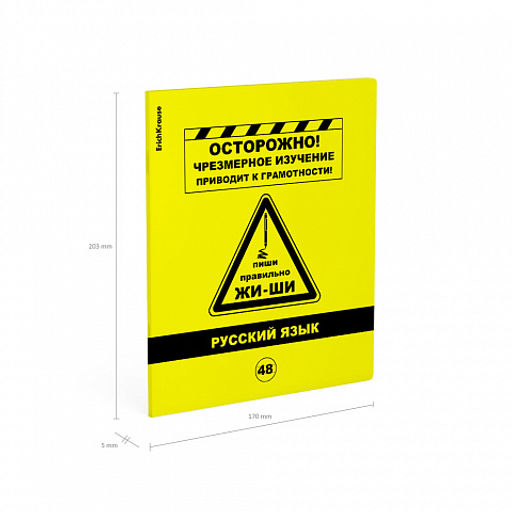 Цена за 5 шт. Тетрадь общая ученическая с пластиковой обложкой на скобе ErichKrause Be Informed, Русский язык, 48 листов, линейка  фото 4