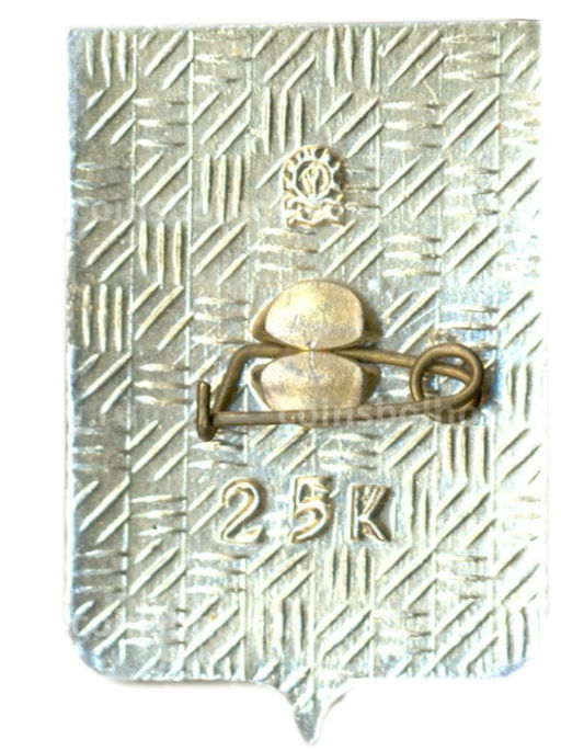 Значок Копейск