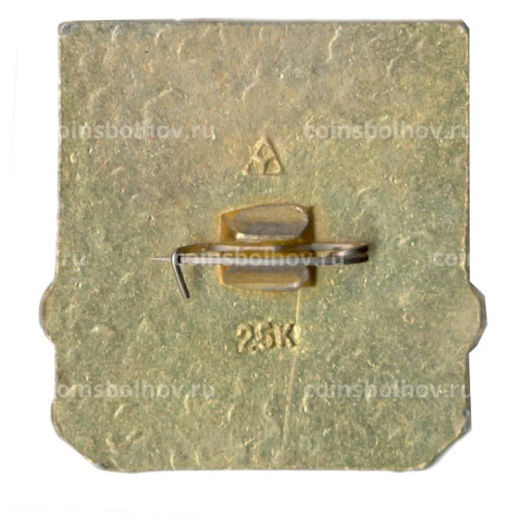 Значок Владимир