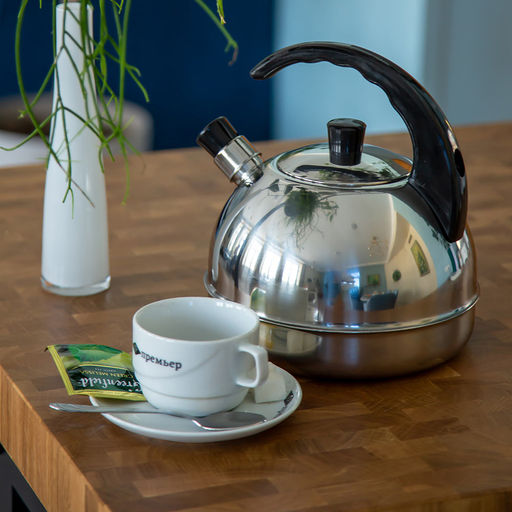 Чайник для плиты 3,0л 1с44 со свист. пл/ручк.