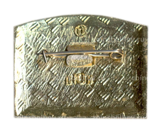 Значок Горький