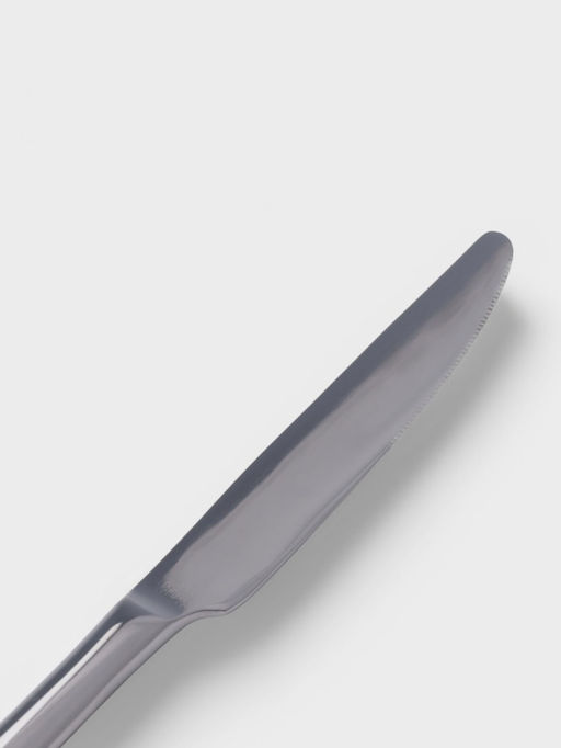 Цена за 6 шт. Нож столовый Hanna Knövell Svartan, 23.9 см, толщина 3 мм, нержавеющая сталь, серебристый