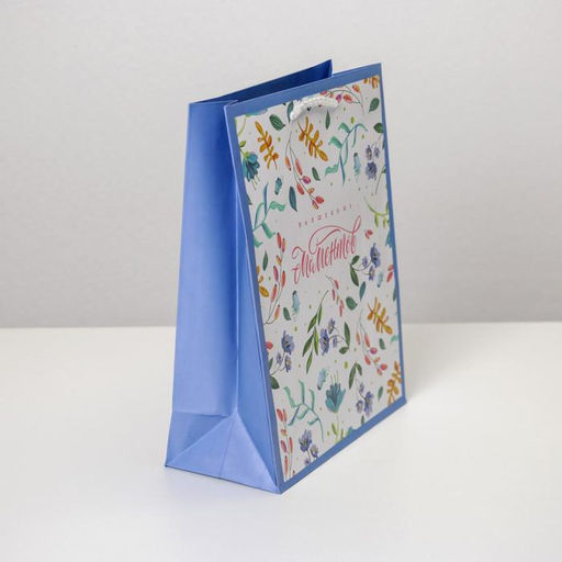 Цена за 2 шт. Пакет подарочный ламинированный, упаковка, Best wishes, MS 18×23×8 см