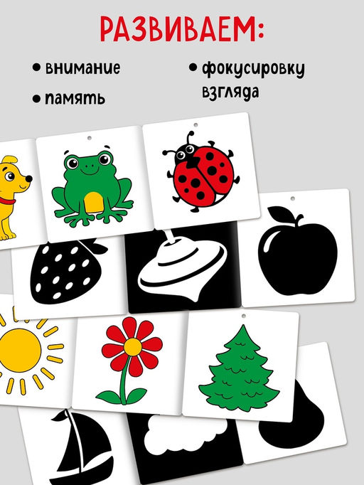 Книжки - гармошки картонные Смотрим вместе, набор 6 шт. - Буква-ленд фото 2