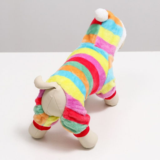 Комбинезон Радуга с капюшоном, размер XS (ДС 20 см, ОГ 30 см, ОШ 20 см) - Simaland фото 18