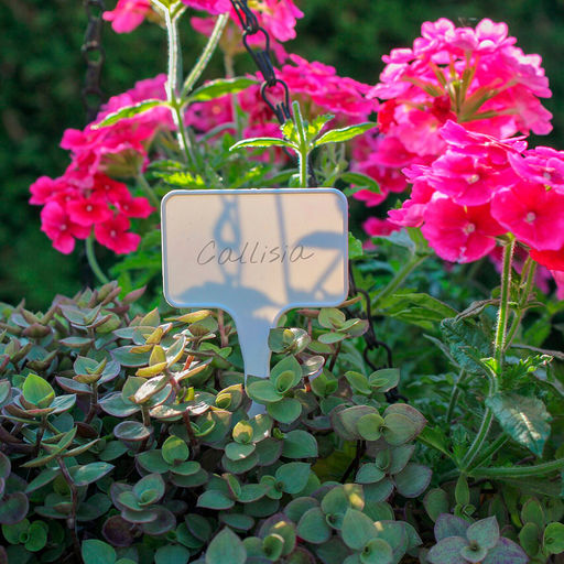 Табличка садовая для маркировки растений 5,5х3,5х15см, полипропилен, белый (Беларусь) - Домашняя мода фото 4