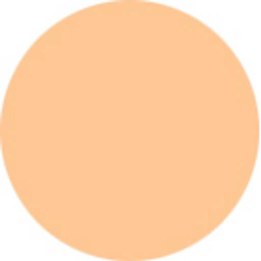 Concealing Powderfoundation Spf17 \ Concealing Powderfoundation Spf17 (Чайная роза) - Anna lotan фото 2