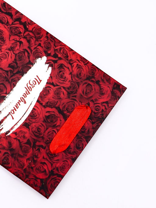 Цена за 2 шт. Пакет подарочный вертикальный Поздравляю, S 12?15?5.5 см