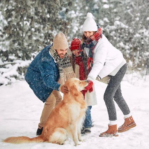 Набор интерьерных украшений, 10 г