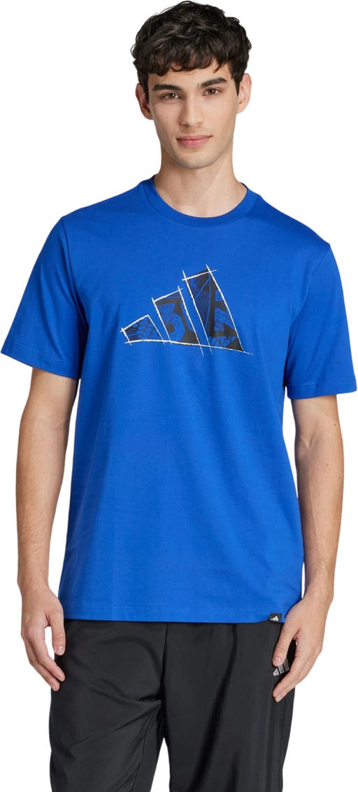 Футболка мужская