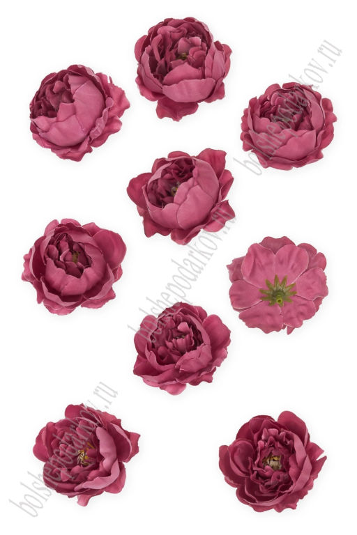 Головки цветов "Пион" 6 см (10 шт) SF-7874, вишневая пенка