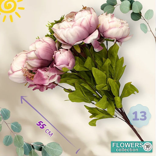 Пионы, букет 13 веточек