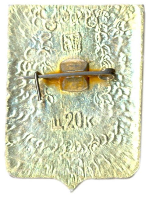 Значок Инсар