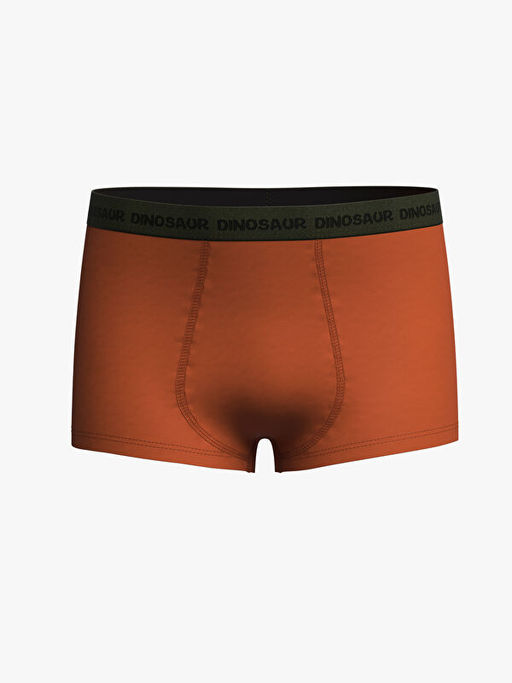 Erkek ?ocuk Boxer 3l? - Waikiki фото 3