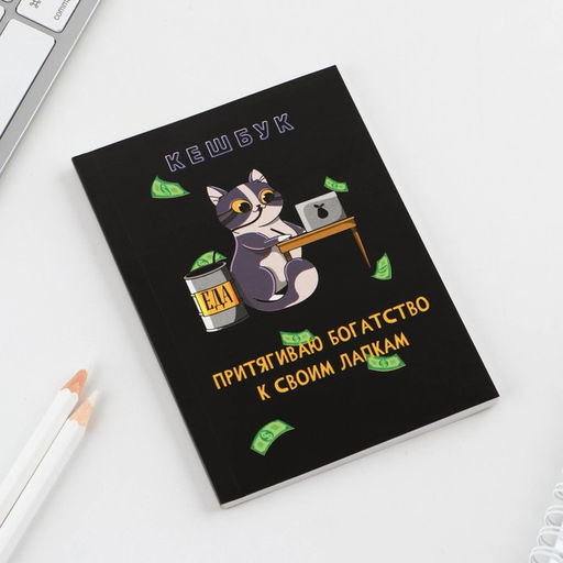 Цена за 2 шт. Блокнот для планирования финансов А6, 52 листа «Кот»