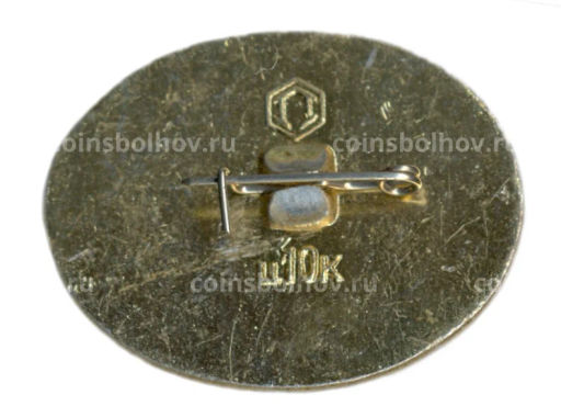 Значок Кижи  памятник архитектуры  Дом Ошевнева