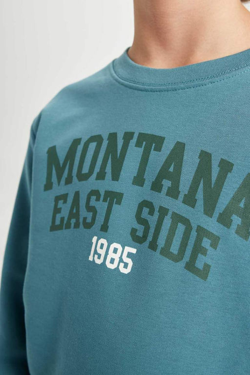 Толстовка с принтом для мальчиков с круглым вырезом - Defacto фото 5