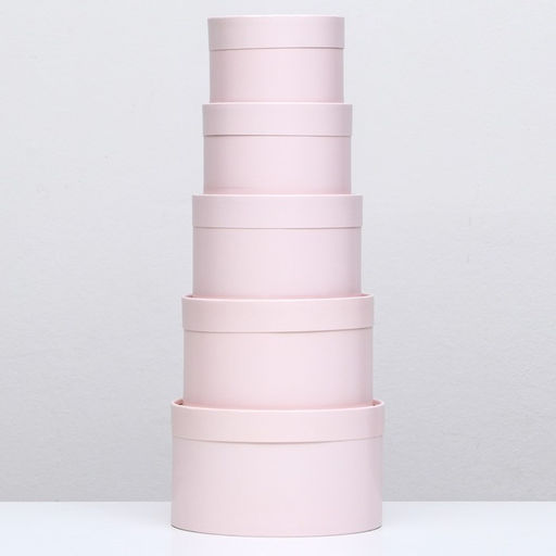 Набор шляпных коробок 5 в 1,Пастельный 20 х 12,18 х 11,16 х 10,14 х 9,13 х 8,5 см - Simaland фото 2