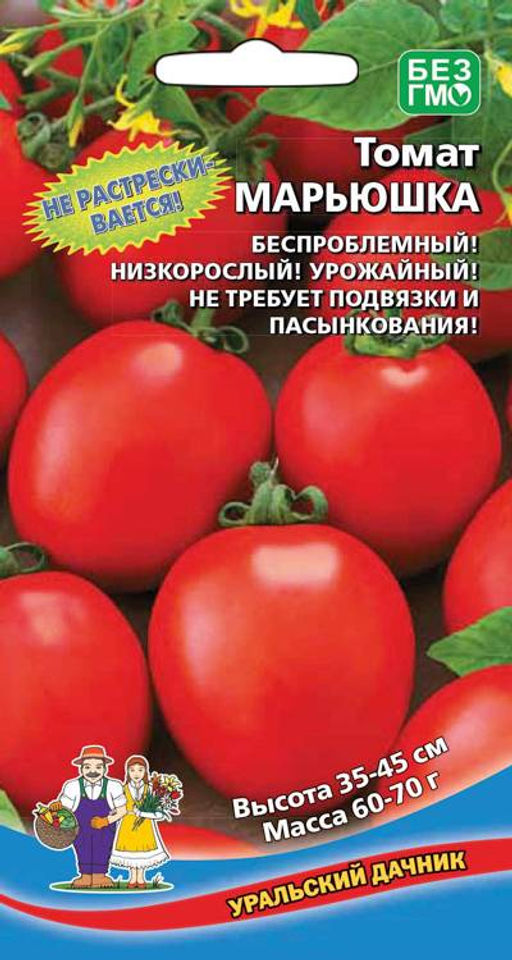Томат МАРЬЮШКА Не растрескивается! Беспроблемный! Не требует подвязки и пасынкования!