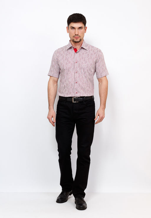 Сорочка мужская короткий рукав GREG Gb613/309/5/Z/P/1  фото 4