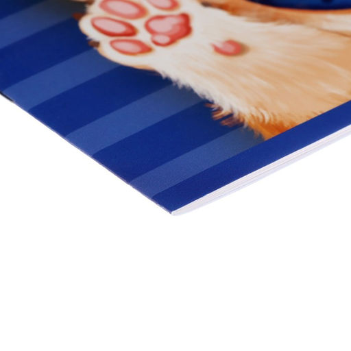 Цена за 9 шт. Альбом для рисования Calligrata А4, 8 листов, на скрепке, МИКС