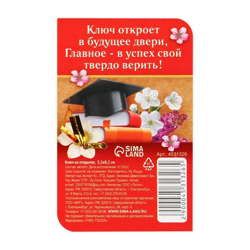 Ключ сувенирный Выпускнику школы, металл, 2 х 4,8 см - Simaland фото 6