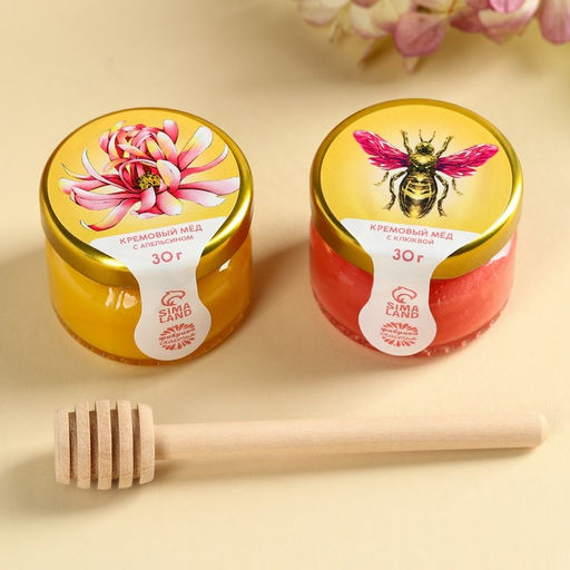 Набор Самой прекрасной: крем-мёд с апельсином и клюквой 60 г (2 шт. 30 г)., ложка для мёда - Фабрика счастья фото 2