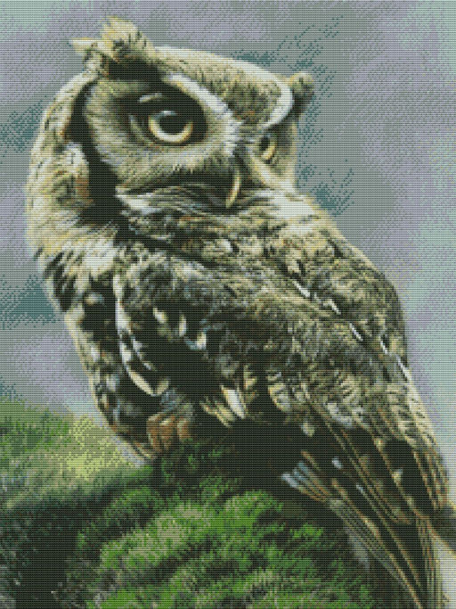 Вышивка крестиком 40х50см, Сова