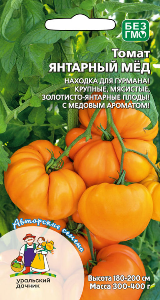 Томат ЯНТАРНЫЙ МЁД Весь увешан плодами! Находка для гурмана! Крупные, мясистые, золотисто-янтарные плоды! Медовый аромат!