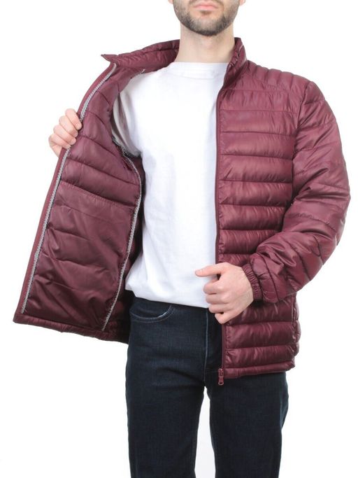 GBIT 81008 WINE Куртка мужская демисезонная BNQXIANG (100 гр. синтепон)