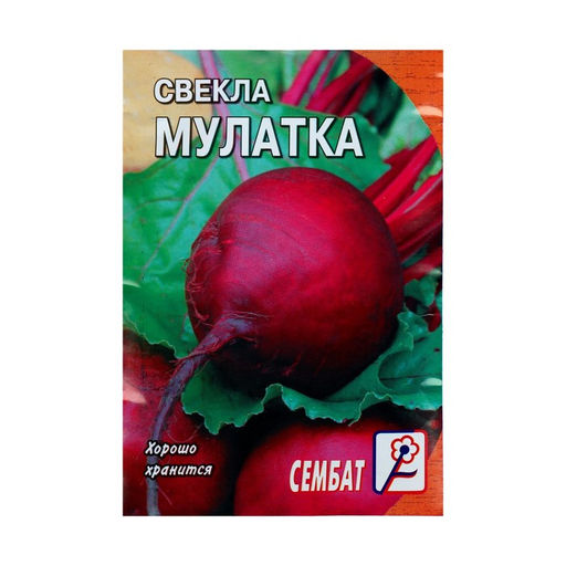 Цена за 5 шт. Семена Свекла "Мулатка", 2 г